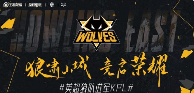 对手很强，但我有全甲USP！状态低下，缺乏纪律。LVG输给了 FURIA Esports 并跌入0-1组